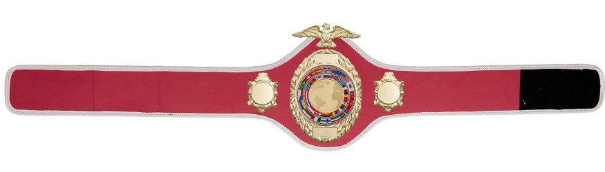 CHAMPIONSHIP BELT PRO288/G/FLAGG - AVAILABLE IN 10 COLOURS CHAMPIONSHIP BELT PRO288/G/FLAGG - AVAILABLE IN 10 COLOURS
